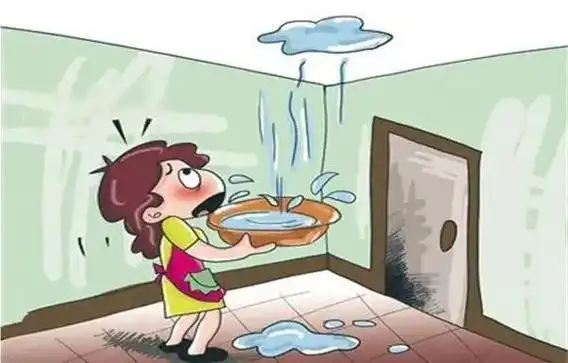 近日,白河林区基层法院成功化解一起因房屋漏水引发的民事纠纷,实现案