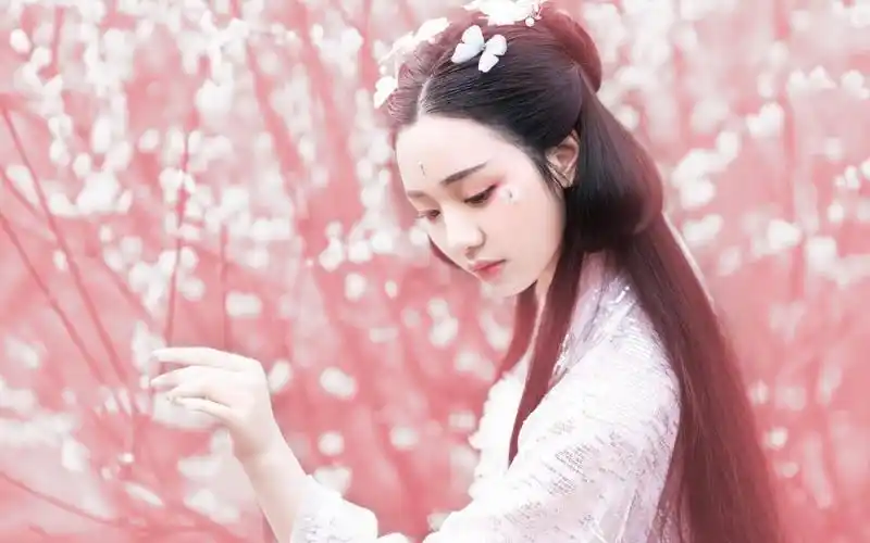 唯美古装美女香艳山水画妖娆意境壁纸图片7