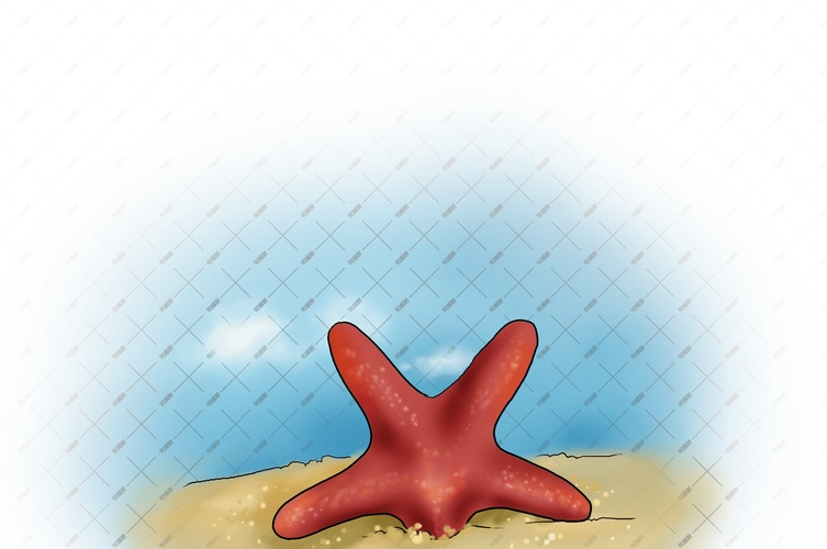 手绘沙滩上的海星