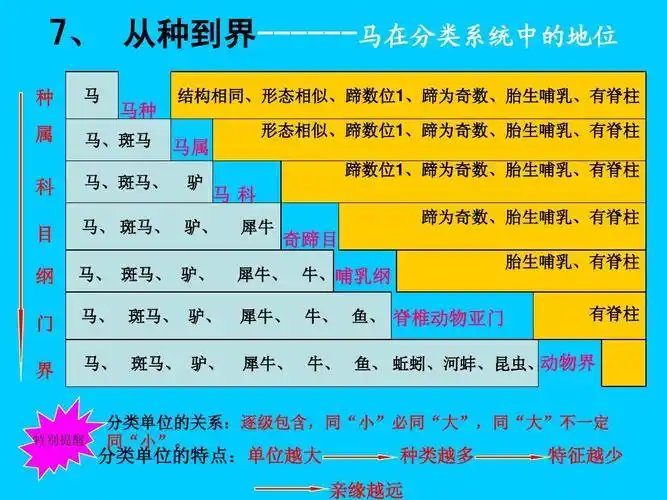 生物多样性及其保护复习答案ppt
