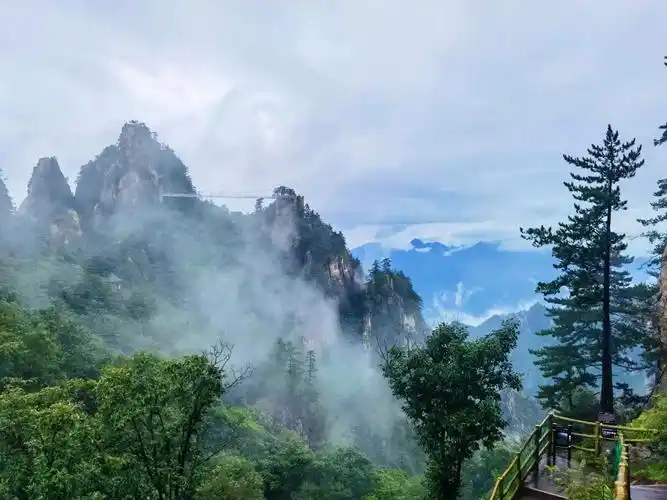 雨后老界岭美景如画