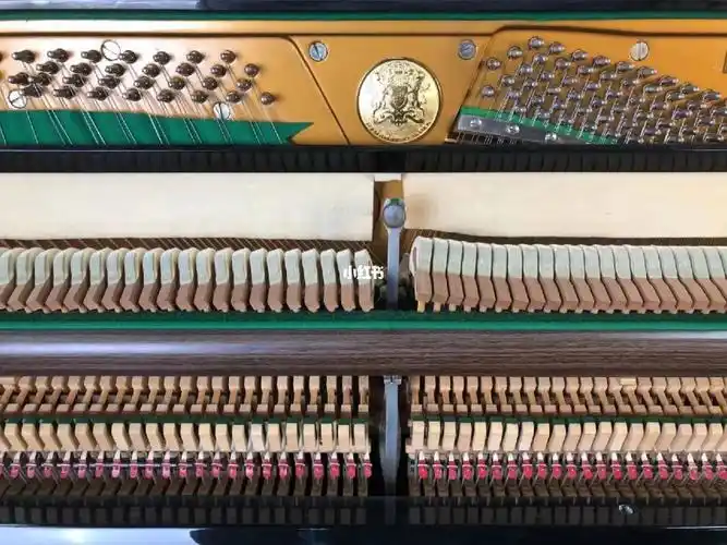 earl windsor(温莎伯爵),型号:w113 钢琴选购