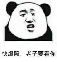 无论以后你是谁的新娘,我永远都是你隔壁老王 - 斗图表情包 - 斗图