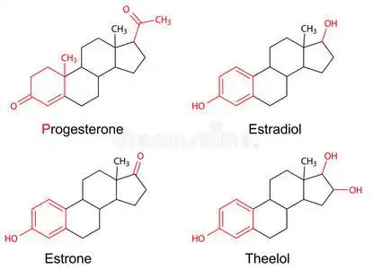 带有标记可变片段的雌性激素结构式照片