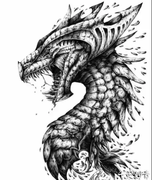 欧美黑灰写实龙纹身手稿
