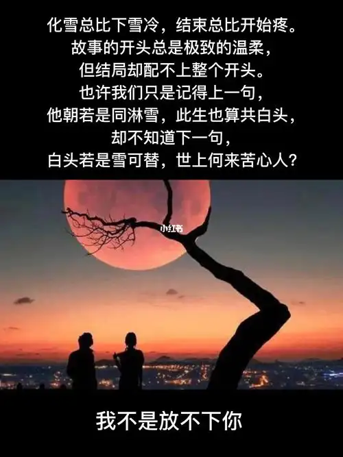 1080_1441竖版 竖屏