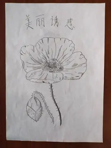 【青盾计划】禁毒宣传进乡村,筑牢农村"防毒网"_毒品