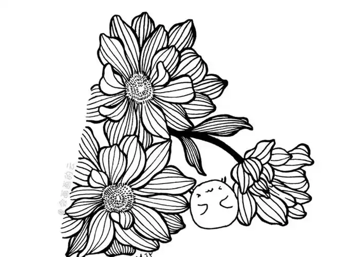 花纹简笔画【简单的花纹图案】