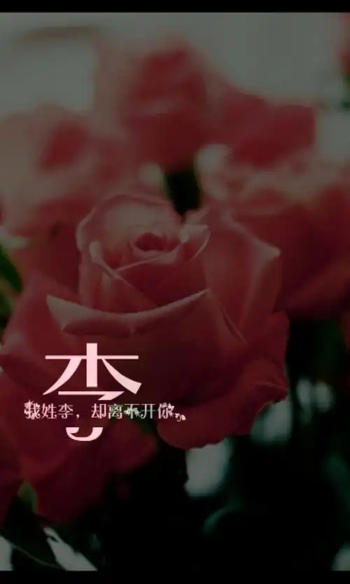 姓氏壁纸#李#@你注定是我触摸不到的光