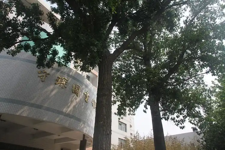 沧县中学两棵相依的树