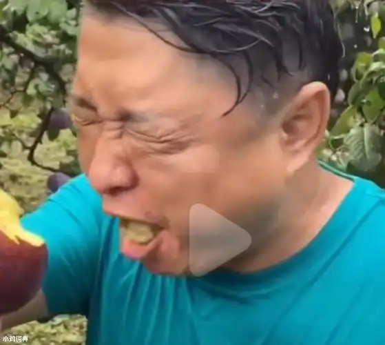 黑布林大李子大叔表情包