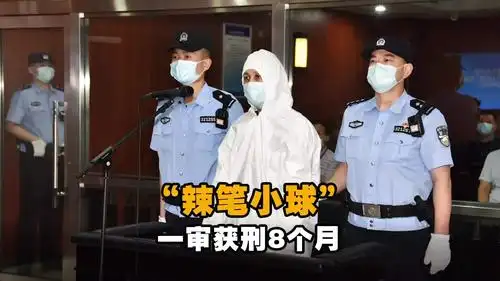 公开开庭审理被告人仇子明(新浪微博名"辣笔小球")侵害英雄烈士名誉