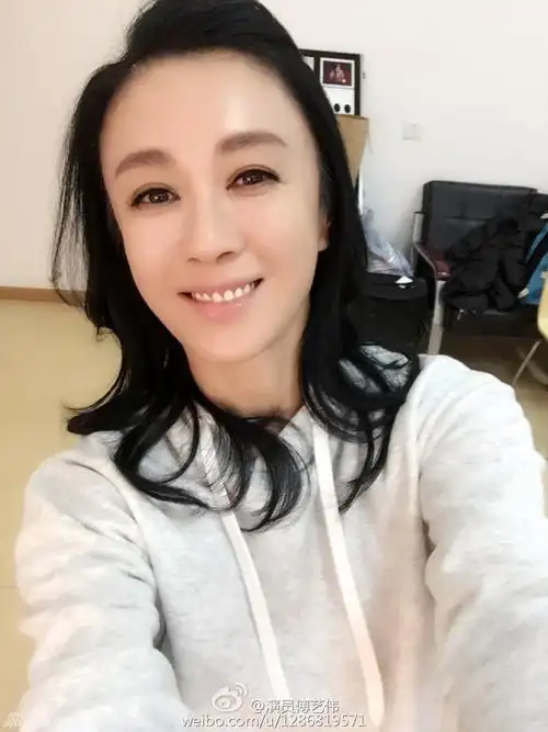 傅艺伟涉嫌吸毒 刚参与节目近照风韵犹存