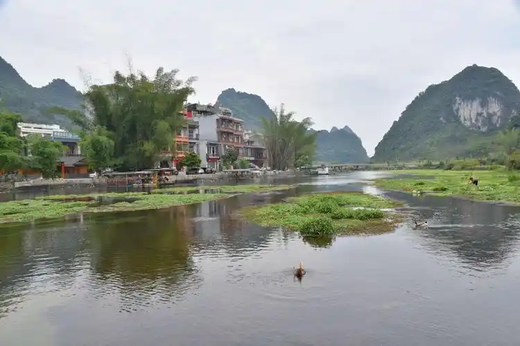 翠竹婆娑,水清如镜,生态优美,一幅美丽的山水田园风光画卷