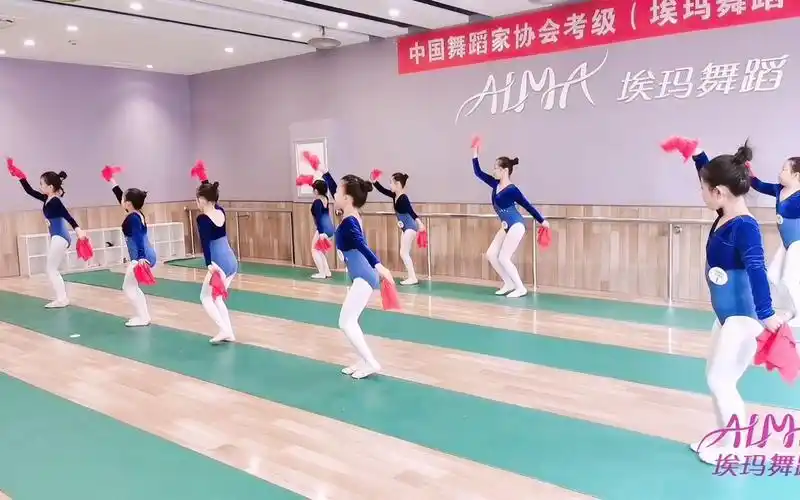中国舞考级4级大公鸡爱美丽少儿舞蹈中国舞拉丁舞埃玛舞蹈