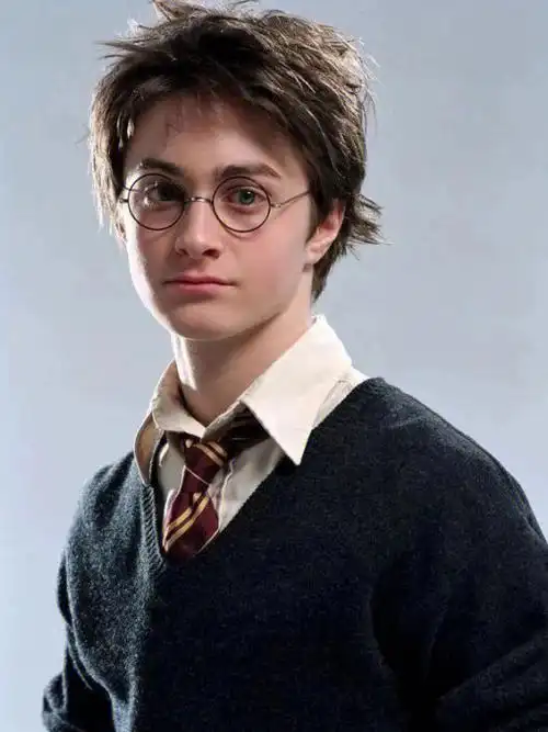 出生于1980年7月31日,成年后身高182cm,教父为小天狼星布莱克(sirius