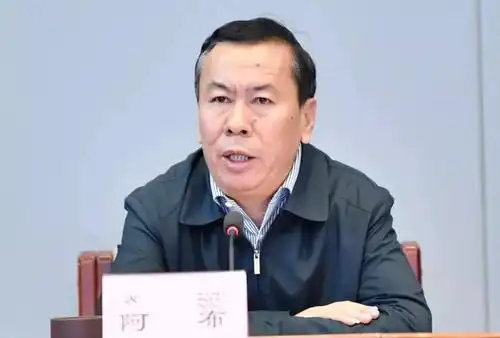 昌都市委书记阿布统筹区域协调发展打造藏东南经济圈