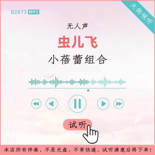 b2873小蓓蕾组合 虫儿飞 原版伴奏 高品质 无人声