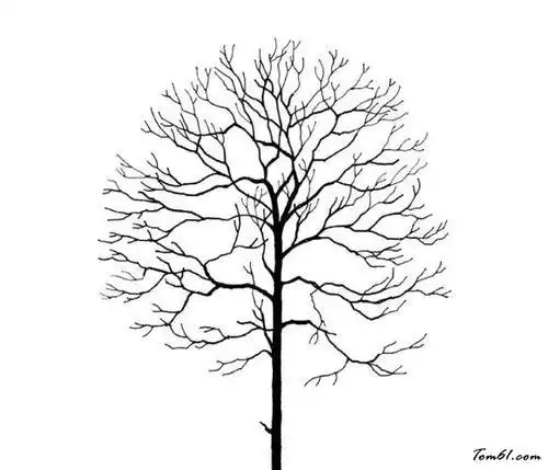 儿童简笔画冬天的树