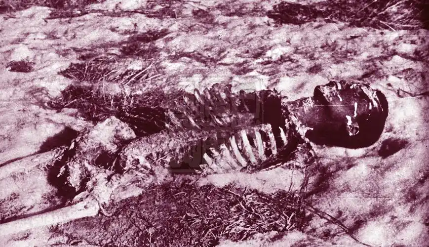 追寻自由却最终被枪杀处决日军监狱中的越狱者们