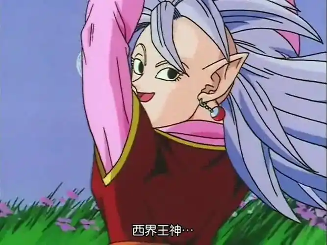 (东南西北)四个界王神