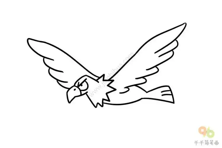 简单画老鹰简笔画飞行动物简笔画