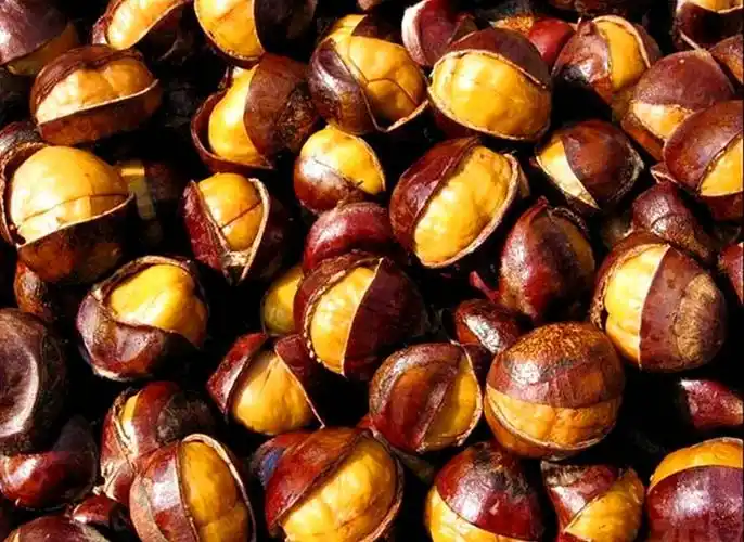 合肥爆好七的糖炒栗子新鲜出炉女神们可以让男票去排队了