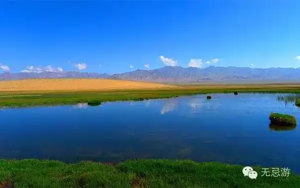 穿越阿尔金山无人区?探访珍稀生态