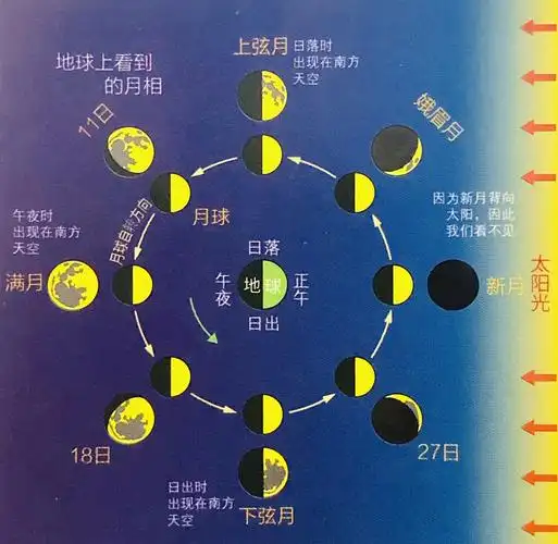 平时看到月亮是一个弯弯的月牙儿,我们就叫它娥眉月,因为它像眉毛一样