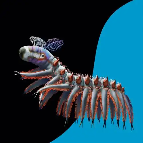 ①凶猛爪网虫是一种怎样的远古海洋生物7194凶猛爪网虫体长大约