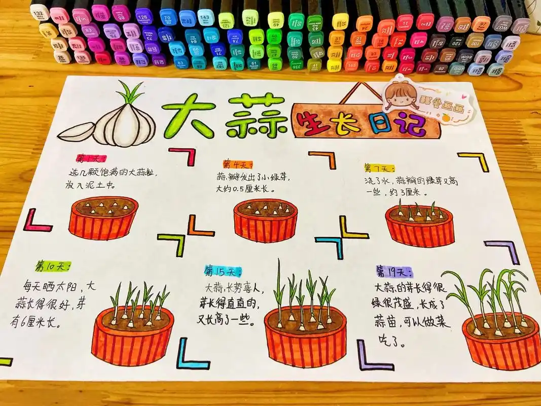大蒜生长日记.小学自然笔记手抄报,大蒜生长记 植物的生长记录 - 抖音