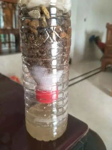 简易过滤器制作_冯博琛