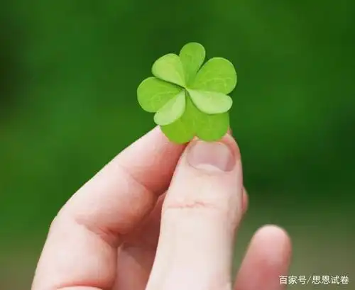 平几玄学?一种能带来好运的轴对称图形