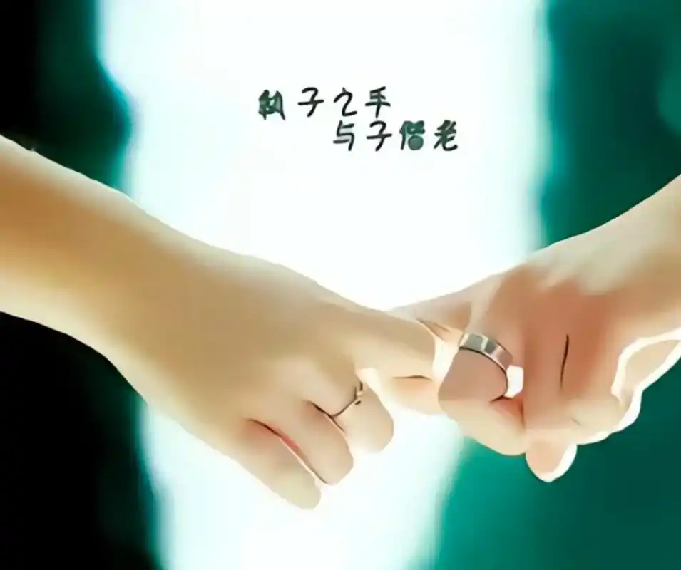 二十周年结婚纪念日