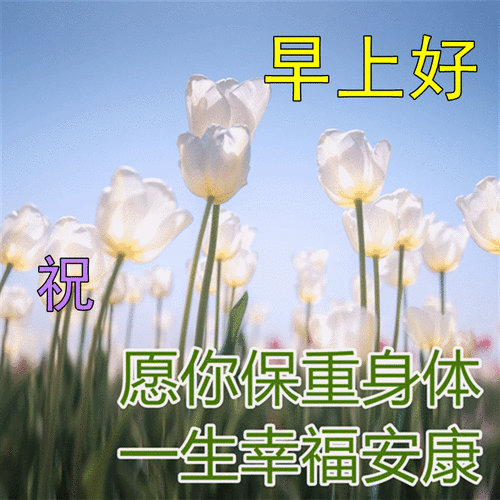暖心早上好问候早上好祝福图片表情 微信漂亮的早安图片大全