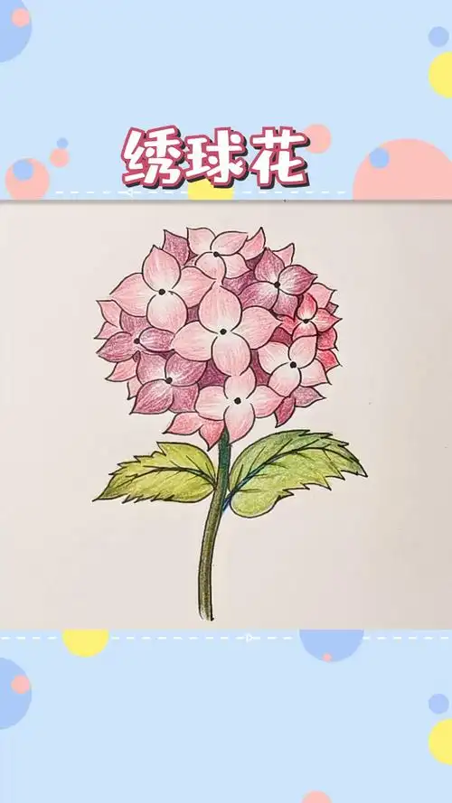 绘画#用最简单的方法,画超美的绣球花