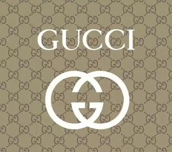 哈喽,大家好今天我们来讨论一下,gucci的logo有几种.