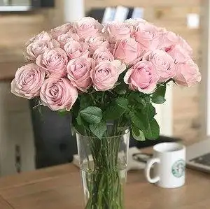 玫瑰鲜花鲜切花婚庆生日教师节插花实拍新品19朵糖果雪山玫瑰花束/福