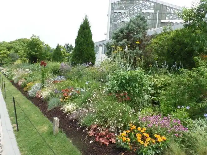 上海植物园—清丽之径岭南公园—繁花似锦黄兴公园—对称式自然花境
