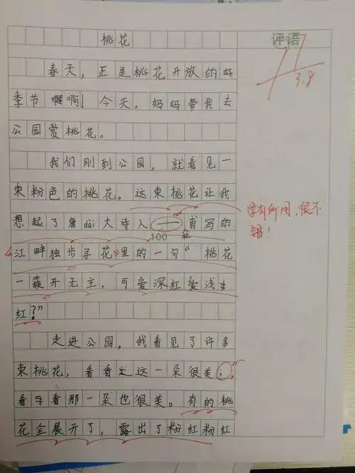 三(6)班第4周优秀作文展