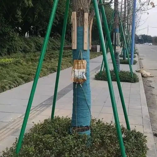 树木支撑架园林绿化防风防倒支架扶树大树固定器铁抱箍苗木支撑杆 42