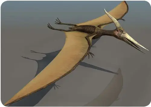 中生代空中霸主——翼龙_挂云帆