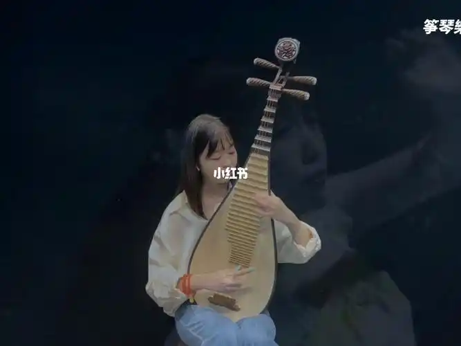 设备:梁浩手工黑檀琵琶13750