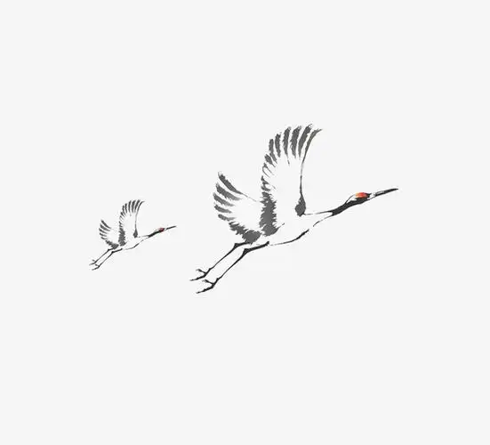 毛笔画的仙鹤