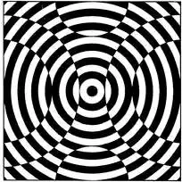 黑白错觉图