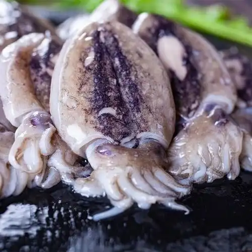 赛卡伊小墨鱼无冰新鲜速冻海鲜乌贼鱼墨斗鱼目鱼墨鱼仔带墨汁1斤约12