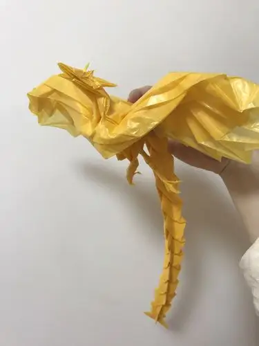 凤凰3.5 by 神谷哲史