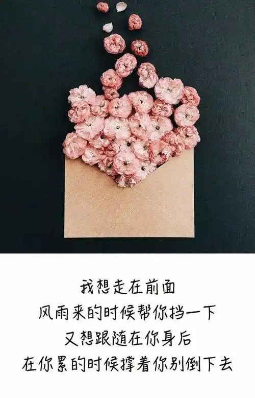 四字成语表白情话