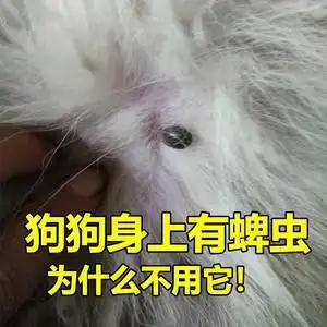 宠物狗治蜱虫药