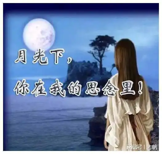 愿我牵挂的人,幸福一生|思念_网易订阅